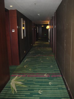 北京出張(1)_a0091095_1751195.jpg