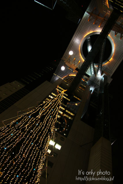 e0008800_1852933.jpg