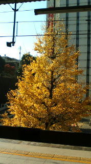 f0144003_22531323.jpg