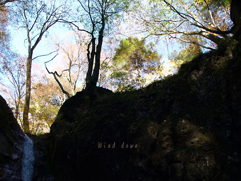 a0021110_19575344.jpg