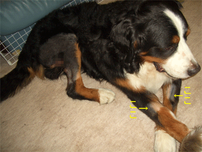 c0143711_2251677.gif