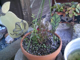 c0140516_926355.jpg