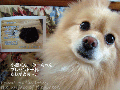 b0075318_12551413.gif