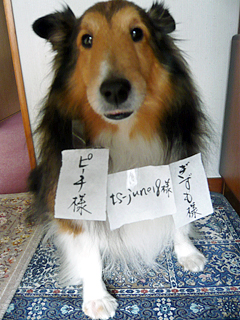 当選結果の発表です_c0053520_16145626.jpg