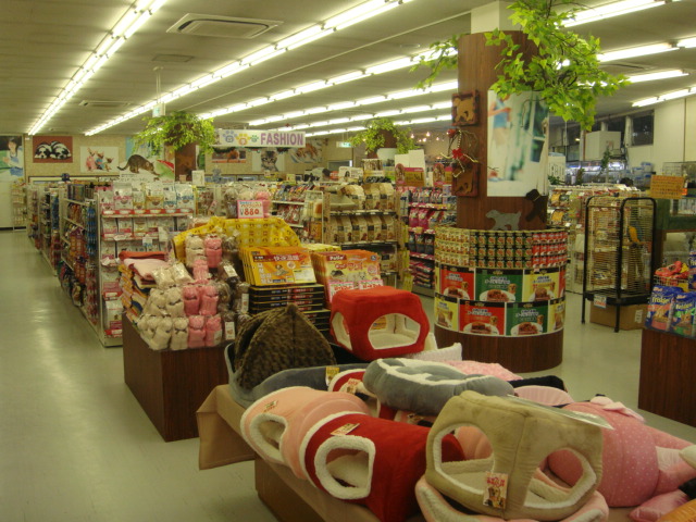 新ペットメイト西宮店OPENのお知らせ!!_f0189122_15133891.jpg