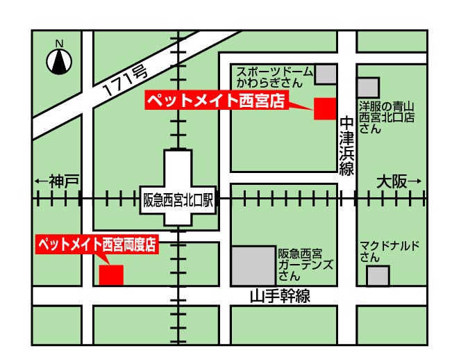 新ペットメイト西宮店OPENのお知らせ!!_f0189122_15212023.jpg