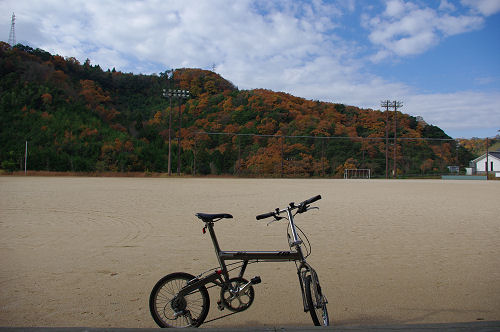 自転車保険_f0007926_15531376.jpg