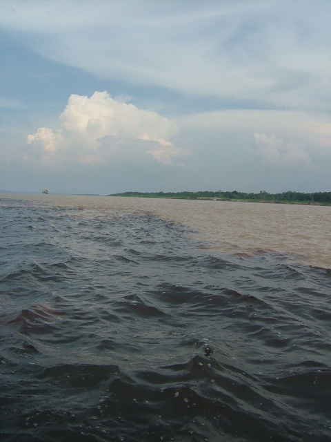 f0131834_52519.jpg