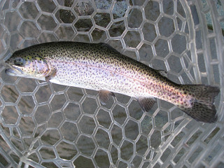f0065341_14823.jpg
