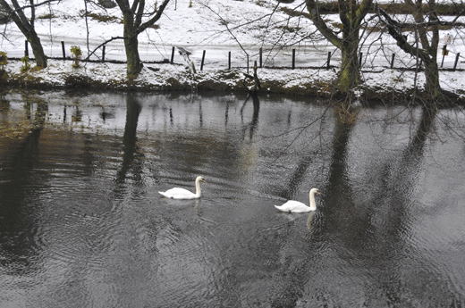 c0093046_2333641.gif