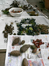 c0144847_02537.jpg