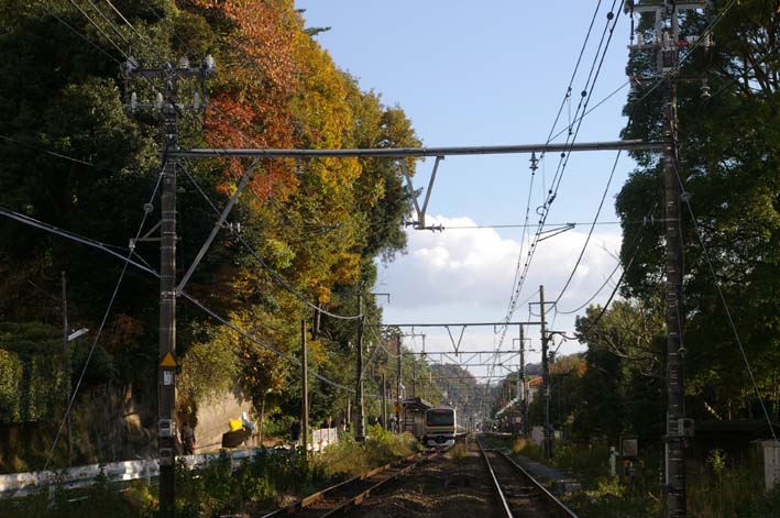 12月28日に北鎌倉・洞門山宅地開発第4回事業者説明会_c0014967_8491970.jpg