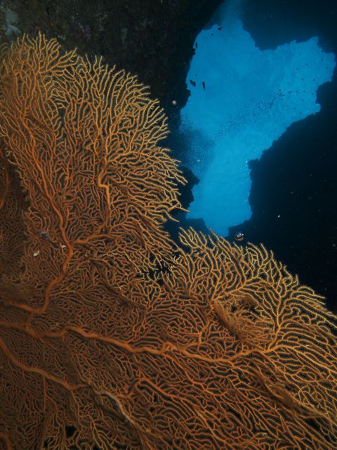 b0138768_1831457.jpg