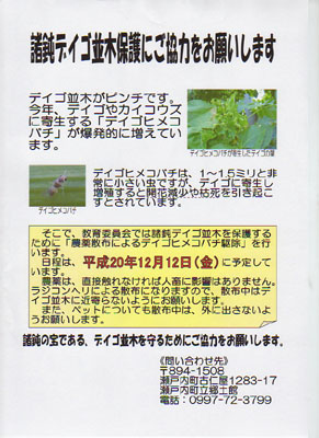 明日12月12日(金)デイゴ並木でヒメコバチの駆除を行います。_e0028387_2130175.jpg