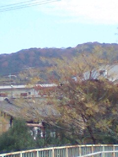 b0113993_0523156.jpg