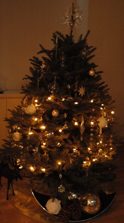 Chirstmas Decoration 2008_f0083294_1741863.jpg