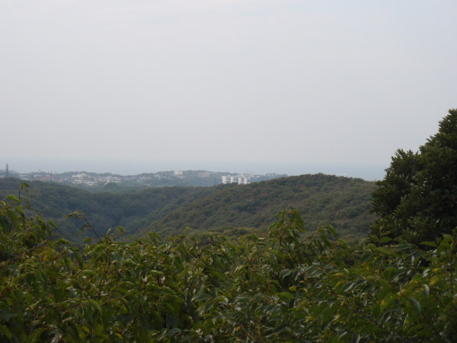 三浦半島一周てく・もぐウォーキング（三崎→長浜）⑤_c0008598_1634597.jpg