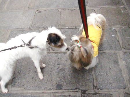 c0090198_2255461.jpg