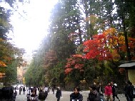 d0090800_8114942.jpg
