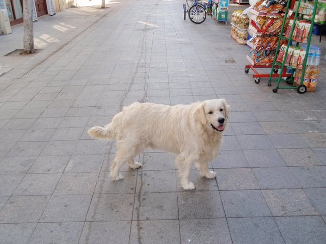 f0079502_75516100.jpg