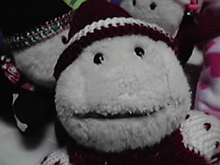 c0067610_0404922.jpg