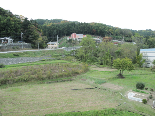 f0071010_016069.jpg
