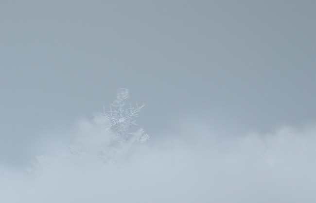 b0152416_07438.jpg