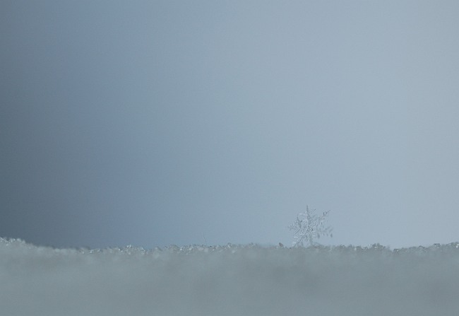 b0152416_08375.jpg