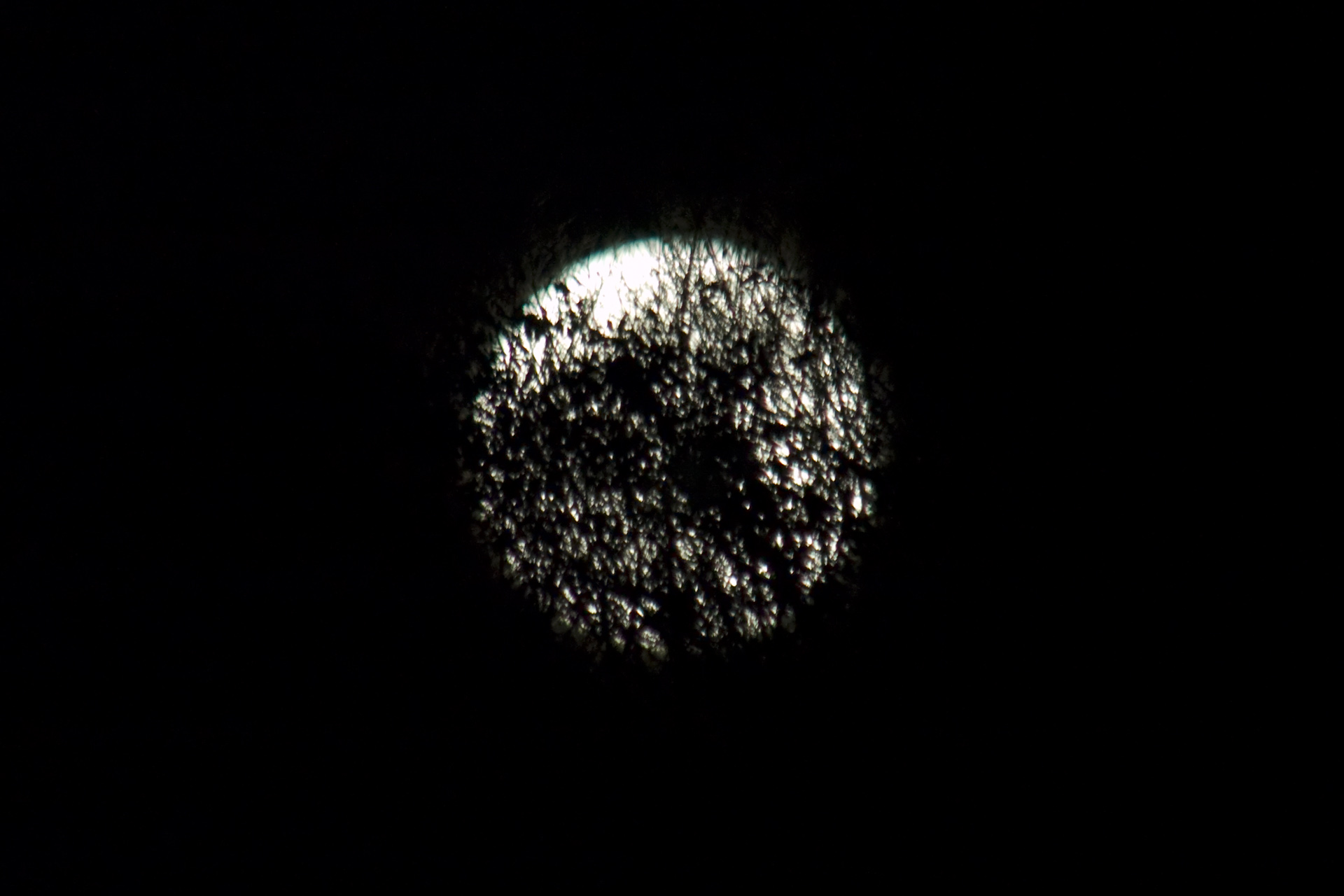 d0073620_1814377.jpg