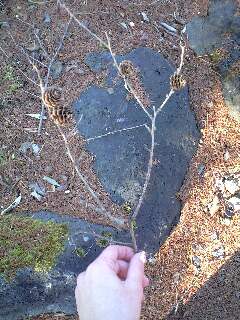 f0051220_2348921.jpg