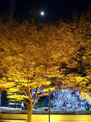 c0128722_291844.jpg