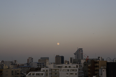 c0182022_1764868.jpg
