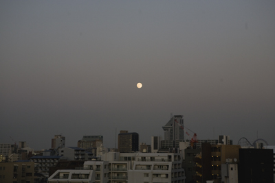 c0182022_177234.jpg