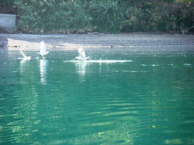 f0000330_05161.jpg