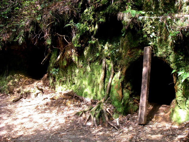 f0039234_1738246.jpg