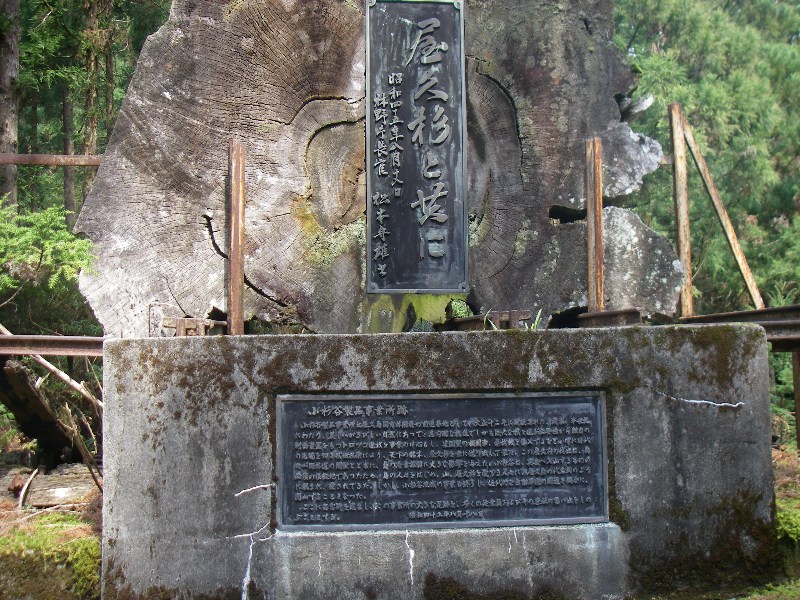f0039234_17403553.jpg