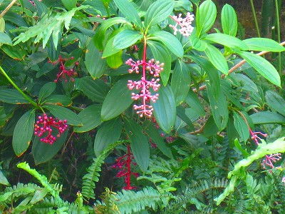 a0055835_17274463.jpg