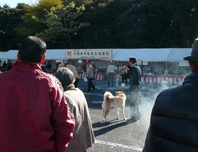 f0008935_11401791.gif