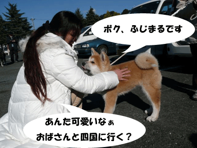 f0008935_11462961.gif