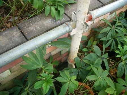 c0025140_2220295.jpg