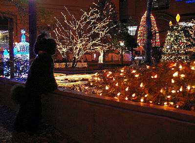 d0026745_1563130.jpg