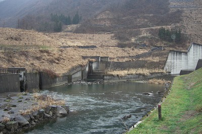 五十沢の三国川ダムの今_a0084753_1862623.jpg