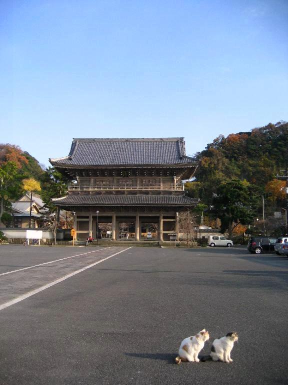 e0121753_12888.jpg