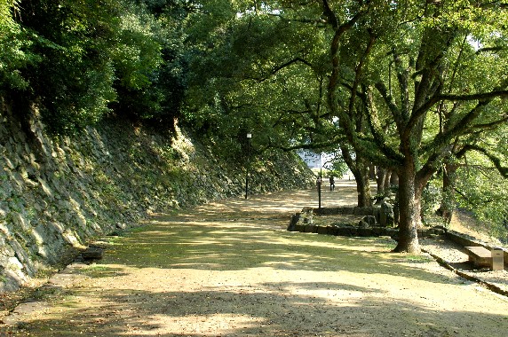 　　和歌山城公園にて_b0093754_0225391.jpg