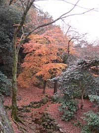 #945 岐阜 伊奈波神社_e0091756_8141294.jpg