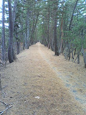 a0096557_20111181.jpg