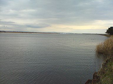 a0096557_2064569.jpg