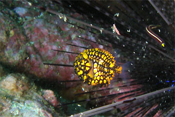 2008/12/12 Fri._e0158261_1824885.jpg