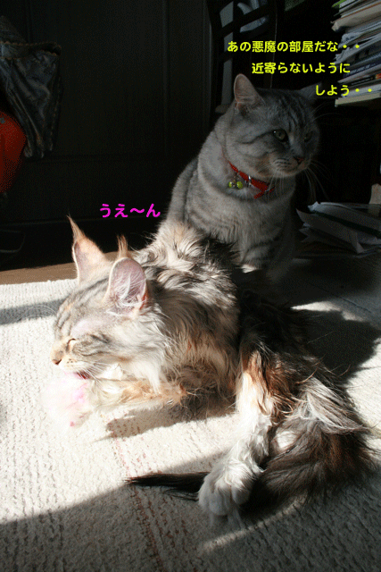 e0158561_21573072.gif