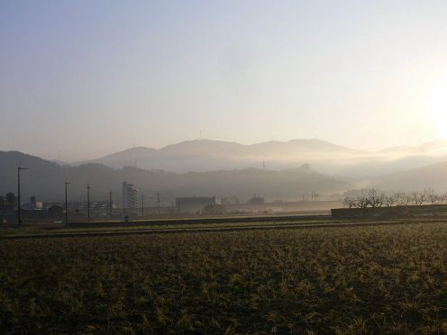 ２００８年１２月１２日（金）　晩秋の里山_a0063364_23145329.jpg